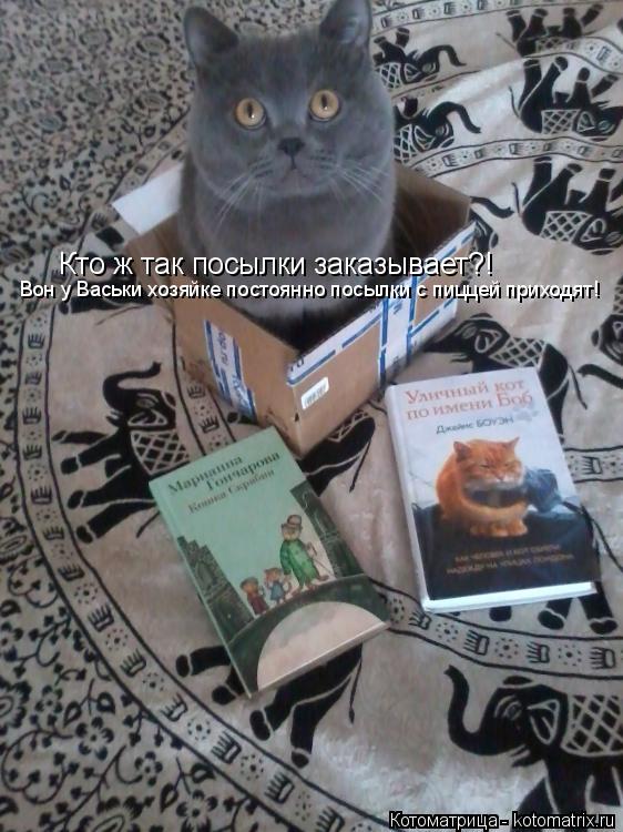 Кто ж так посылки заказывает?! Вон у Васьки хозяйке постоянно посылки с пиццей приходят!... Котоматрица: Кто ж так посылки заказывает?! Вон у Васьки хозяйке постоянно посылки с пиццей приходят!
