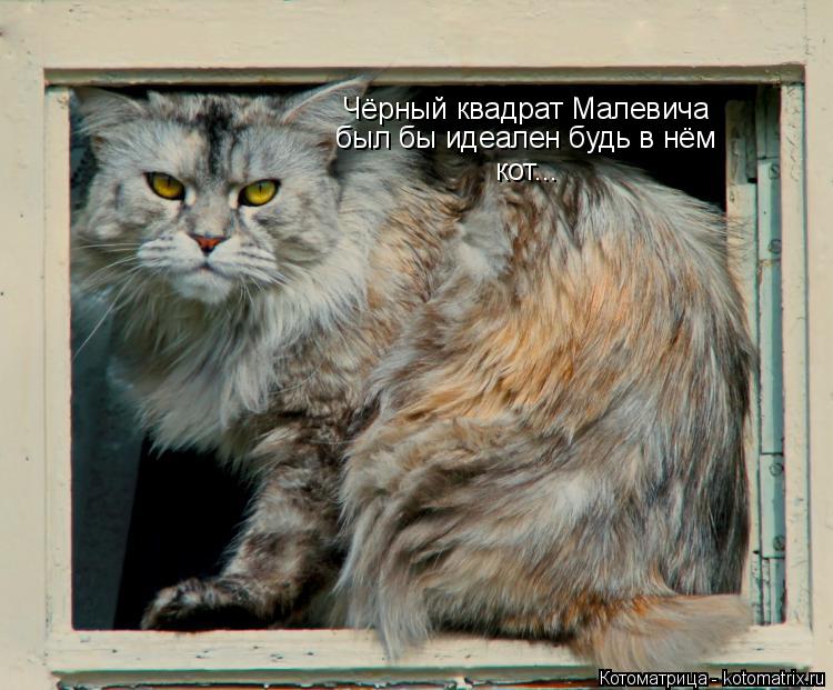 Котоматрица: Чёрный квадрат Малевича был бы идеален будь в нём  кот...