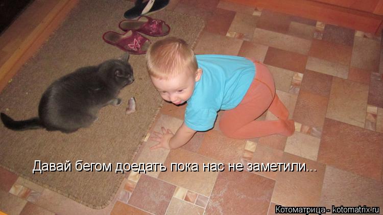 Давай бегом доедать пока нас не заметили...... Котоматрица: Давай бегом доедать пока нас не заметили...