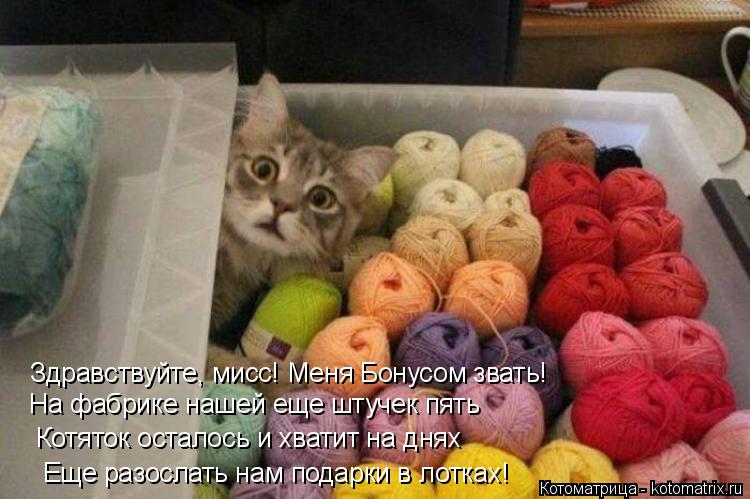Еще разослать нам подарки в лотках! Здравствуйте, мисс! Меня Бонусом звать! На фабрике нашей еще штуч... Котоматрица: Еще разослать нам подарки в лотках! Здравствуйте, мисс! Меня Бонусом звать! На фабрике нашей еще штучек пять Котяток осталось и хватит на дн