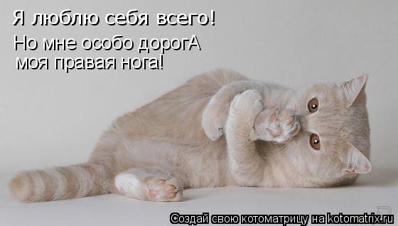 Я люблю себя всего! Но мне особо дорогА моя правая нога!... Котоматрица: Я люблю себя всего! Но мне особо дорогА моя правая нога!