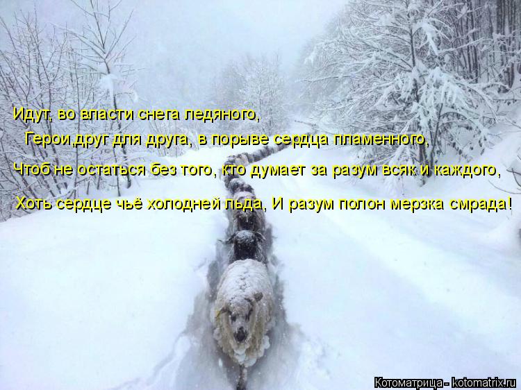 Хоть сердце чьё холодней льда, И разум полон мерзка смрада! Чтоб не остаться без того, кто думает за ... Котоматрица: Хоть сердце чьё холодней льда, И разум полон мерзка смрада! Чтоб не остаться без того, кто думает за разум всяк и каждого, Идут, во власти сне
