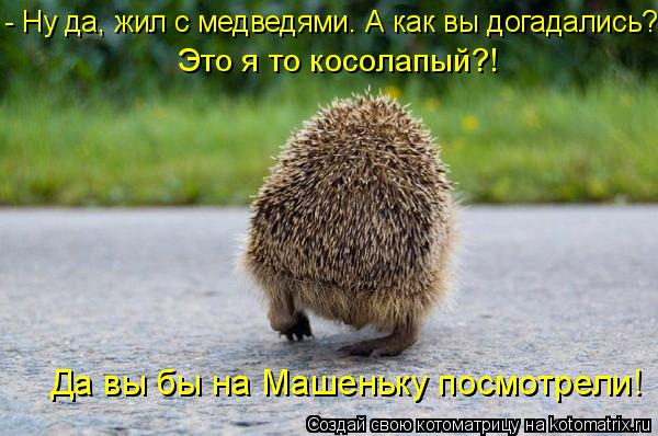 - Ну да, жил с медведями. А как вы догадались? Это я то косолапый?! Да вы бы на Машеньку посмотрели... Котоматрица: - Ну да, жил с медведями. А как вы догадались? Это я то косолапый?! Да вы бы на Машеньку посмотрели!