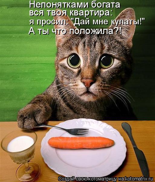 Непонятками богата вся твоя квартира: я просил: "Дай мне купаты!" А ты что положила?!... Котоматрица: Непонятками богата вся твоя квартира: я просил: "Дай мне купаты!" А ты что положила?!