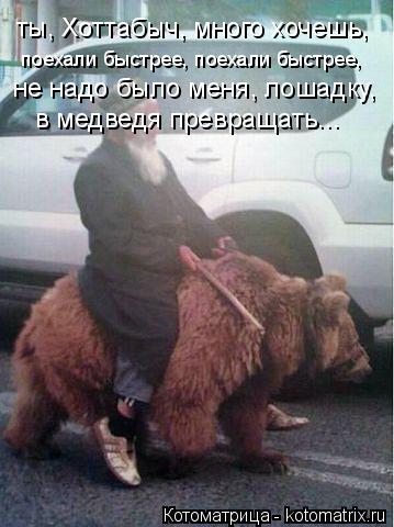 ты, Хоттабыч, много хочешь, поехали быстрее, поехали быстрее, не надо было меня, лошадку, в медведя ... Котоматрица: ты, Хоттабыч, много хочешь, поехали быстрее, поехали быстрее, не надо было меня, лошадку, в медведя превращать...