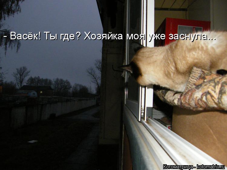 - Васёк! Ты где? Хозяйка моя уже заснула...... Котоматрица: - Васёк! Ты где? Хозяйка моя уже заснула...