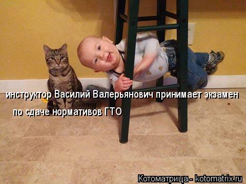 инструктор Василий Валерьянович принимает экзамен по сдаче нормативов ГТО... Котоматрица: инструктор Василий Валерьянович принимает экзамен по сдаче нормативов ГТО