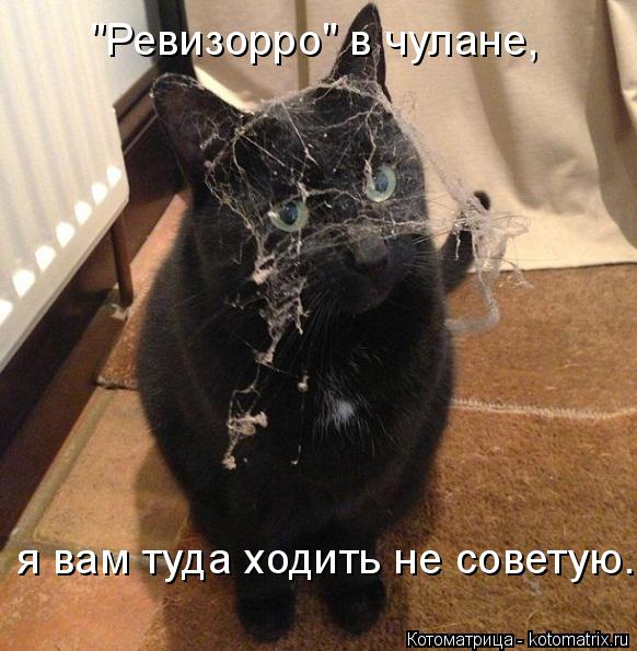 "Ревизорро" в чулане, я вам туда ходить не советую.... Котоматрица: "Ревизорро" в чулане, я вам туда ходить не советую.