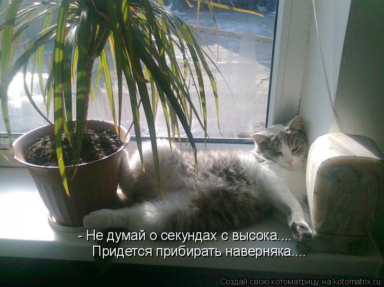 - Не думай о секундах с высока.... Придется прибирать наверняка....... Котоматрица: - Не думай о секундах с высока.... Придется прибирать наверняка....