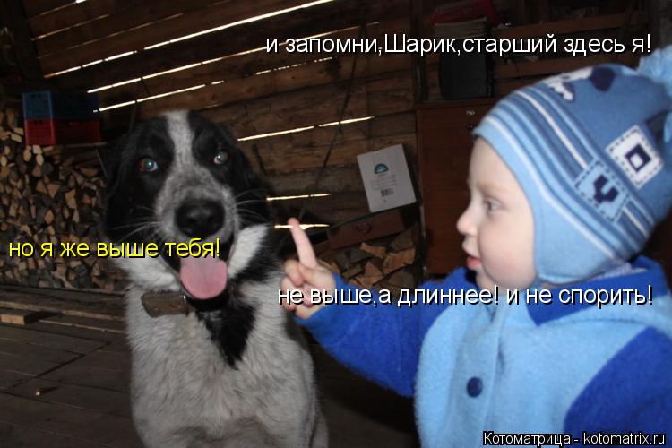 и запомни,Шарик,старший здесь я! не выше,а длиннее! и не спорить! но я же выше тебя!... Котоматрица: и запомни,Шарик,старший здесь я! не выше,а длиннее! и не спорить! но я же выше тебя!
