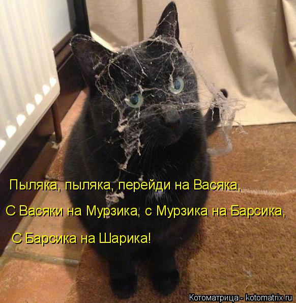 Пыляка, пыляка, перейди на Васяка, С Васяки на Мурзика, с Мурзика на Барсика, С Барсика на Шарика!... Котоматрица: Пыляка, пыляка, перейди на Васяка, С Васяки на Мурзика, с Мурзика на Барсика, С Барсика на Шарика!