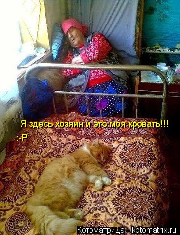 Я здесь хозяин и это моя кровать!!! :-P... Котоматрица: Я здесь хозяин и это моя кровать!!! :-P
