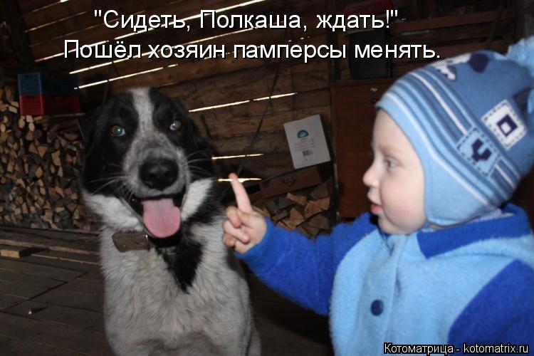 "Сидеть, Полкаша, ждать!" Пошёл хозяин памперсы менять.... Котоматрица: "Сидеть, Полкаша, ждать!" Пошёл хозяин памперсы менять.