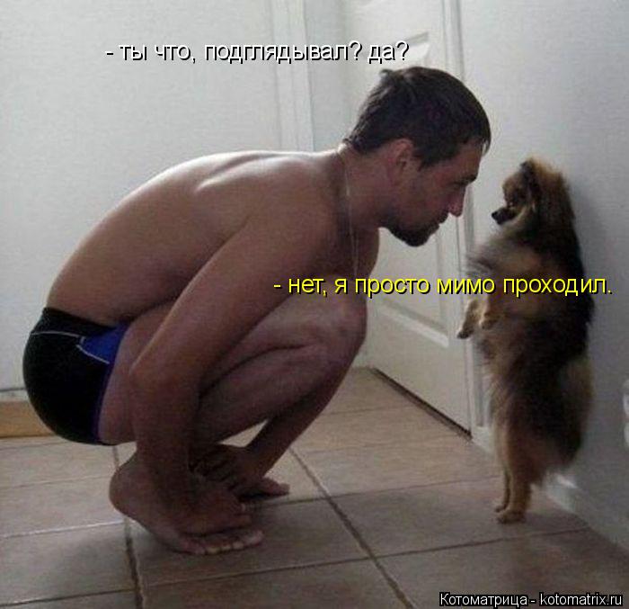 - ты что, подглядывал? да? - нет, я просто мимо проходил.... Котоматрица: - ты что, подглядывал? да? - нет, я просто мимо проходил.
