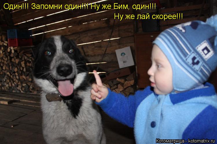 Один!!! Запомни один!!! Ну же Бим, один!!! Ну же лай скорее!!!... Котоматрица: Один!!! Запомни один!!! Ну же Бим, один!!! Ну же лай скорее!!!