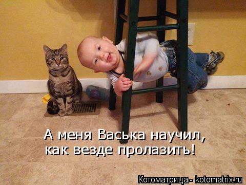 А меня Васька научил, как везде пролазить!... Котоматрица: А меня Васька научил, как везде пролазить!