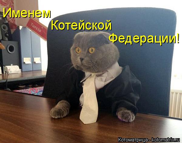 Именем Котейской Федерации!... Котоматрица: Именем Котейской Федерации!