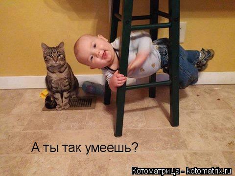 А ты так умеешь?... Котоматрица: А ты так умеешь?
