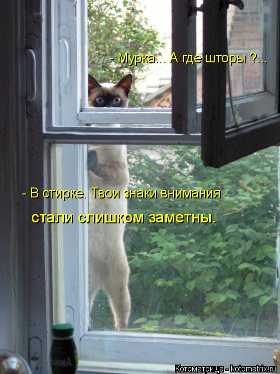 - Мурка... А где шторы ?... - В стирке. Твои знаки внимания стали слишком заметны.... Котоматрица: - Мурка... А где шторы ?... - В стирке. Твои знаки внимания стали слишком заметны.