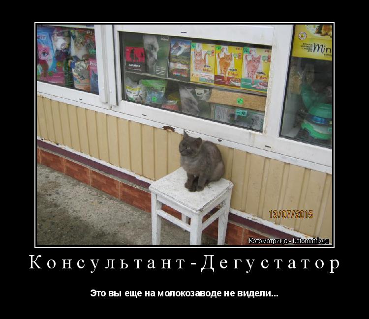 Консультант-Дегустатор Это вы еще на молокозаводе не видели...... Котоматрица: Консультант-Дегустатор Это вы еще на молокозаводе не видели...