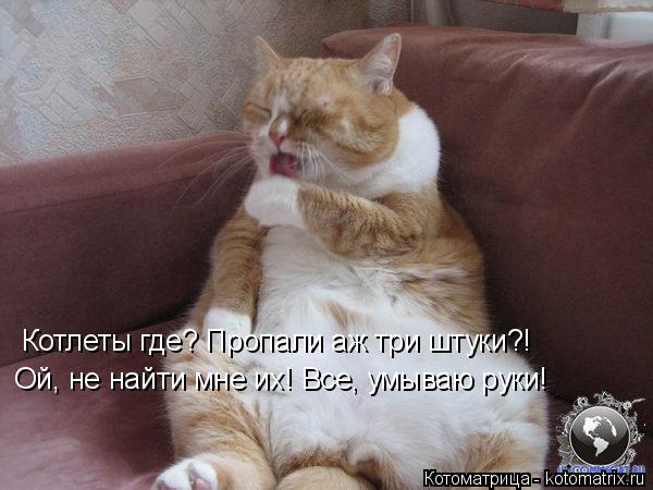 Котлеты где? Пропали аж три штуки?! Ой, не найти мне их! Все, умываю руки!... Котоматрица: Котлеты где? Пропали аж три штуки?! Ой, не найти мне их! Все, умываю руки!