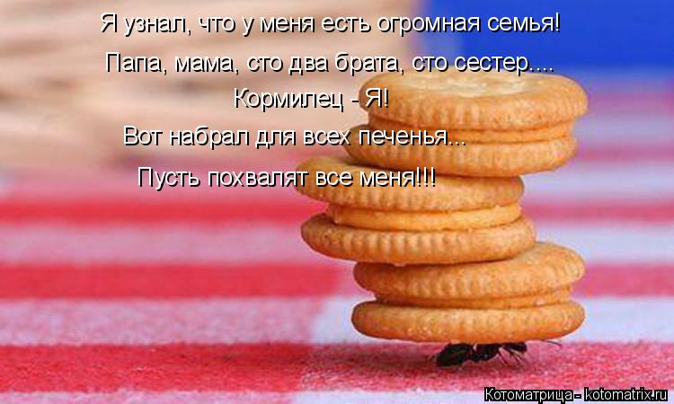 Я узнал, что у меня есть огромная семья! Папа, мама, сто два брата, сто сестер.... Кормилец - Я! Вот ... Котоматрица: Я узнал, что у меня есть огромная семья! Папа, мама, сто два брата, сто сестер.... Кормилец - Я! Вот набрал для всех печенья... Пусть похвалят все