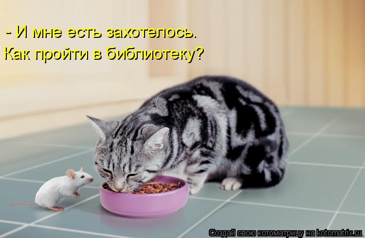 - И мне есть захотелось. Как пройти в библиотеку?... Котоматрица: - И мне есть захотелось. Как пройти в библиотеку?