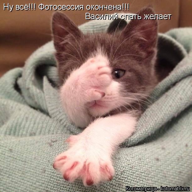 Ну всё!!! Фотосессия окончена!!! Василий спать желает... Котоматрица: Ну всё!!! Фотосессия окончена!!! Василий спать желает