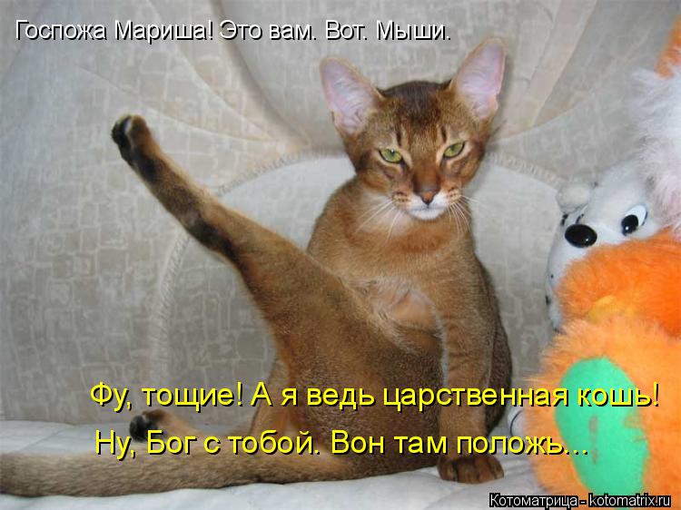 Госпожа Мариша! Это вам. Вот. Мыши. Фу, тощие! А я ведь царственная кошь! Ну, Бог с тобой. Вон там по... Котоматрица: Госпожа Мариша! Это вам. Вот. Мыши. Фу, тощие! А я ведь царственная кошь! Ну, Бог с тобой. Вон там положь...