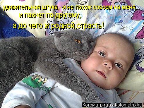 удивительная штука,- и не похож совсем на меня, и пахнет по-другому, а до чего ж родной,страсть!... Котоматрица: удивительная штука,- и не похож совсем на меня, и пахнет по-другому, а до чего ж родной,страсть!