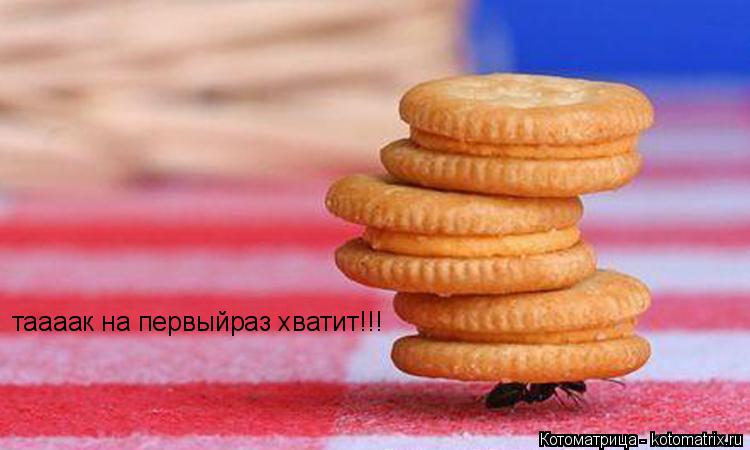 таааак на первыйраз хватит!!!... Котоматрица: таааак на первыйраз хватит!!!