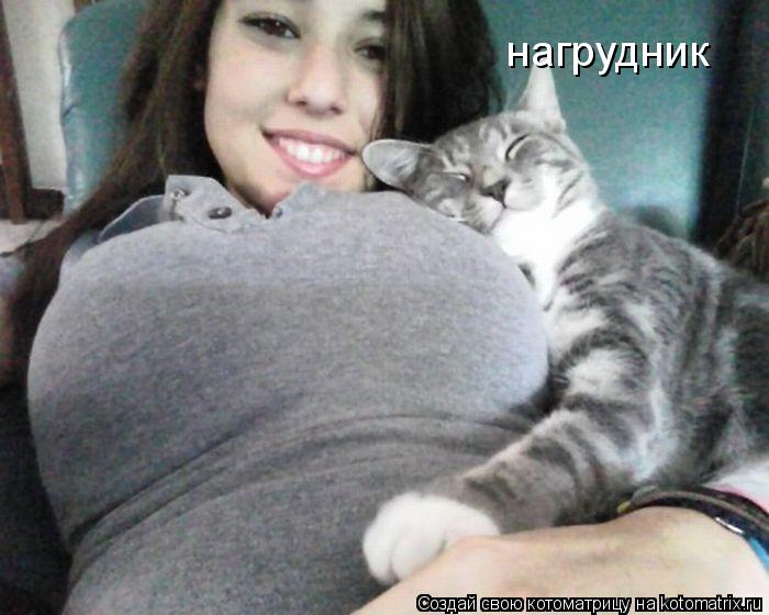 нагрудник... Котоматрица: нагрудник
