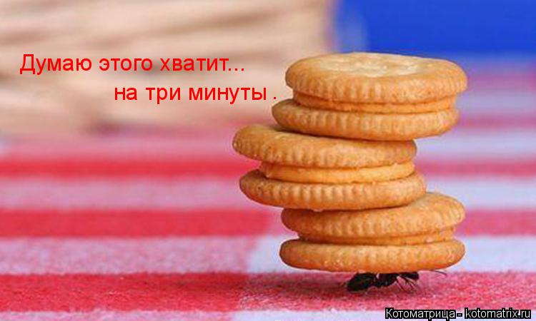 Думаю этого хватит... . на три минуты... Котоматрица: Думаю этого хватит... . на три минуты
