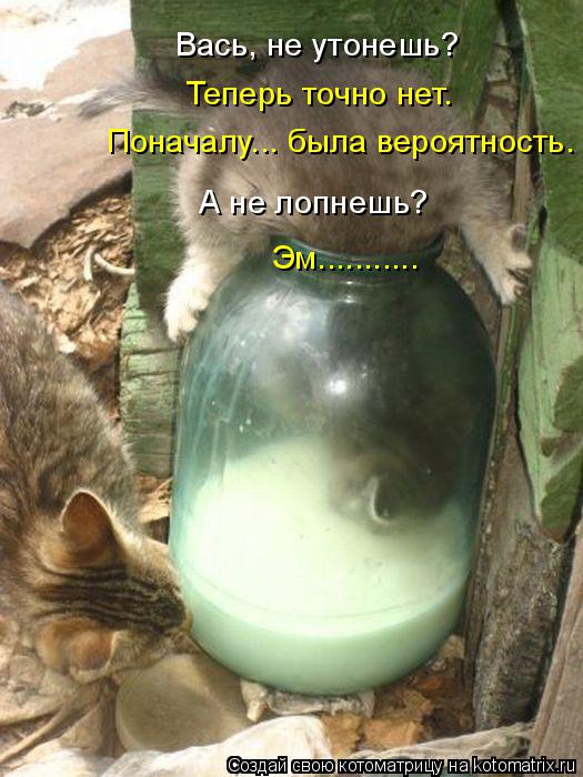 Теперь точно нет. Поначалу... была вероятность. А не лопнешь? Эм........... Вась, не утонешь?... Котоматрица: Теперь точно нет. Поначалу... была вероятность. А не лопнешь? Эм........... Вась, не утонешь?