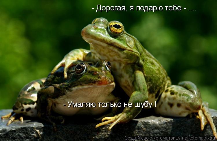 - Дорогая, я подарю тебе - .... - Умаляю только не шубу !... Котоматрица: - Дорогая, я подарю тебе - .... - Умаляю только не шубу !