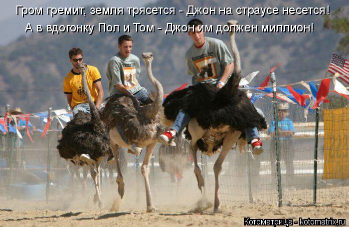 Гром гремит, земля трясется - Джон на страусе несется! А в вдогонку Пол и Том - Джон им должен миллио... Котоматрица: Гром гремит, земля трясется - Джон на страусе несется! А в вдогонку Пол и Том - Джон им должен миллион!