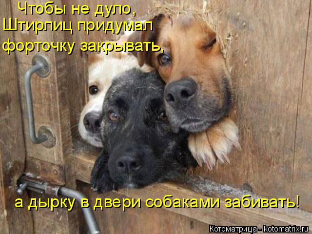 Чтобы не дуло, Штирлиц придумал форточку закрывать, а дырку в двери собаками забивать!... Котоматрица: Чтобы не дуло, Штирлиц придумал форточку закрывать, а дырку в двери собаками забивать!