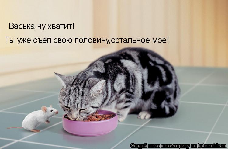 Васька,ну хватит! Ты уже съел свою половину,остальное моё!... Котоматрица: Васька,ну хватит! Ты уже съел свою половину,остальное моё!