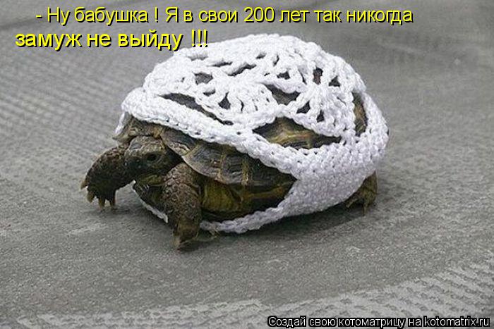 - Ну бабушка ! Я в свои 200 лет так никогда замуж не выйду !!!... Котоматрица: - Ну бабушка ! Я в свои 200 лет так никогда замуж не выйду !!!