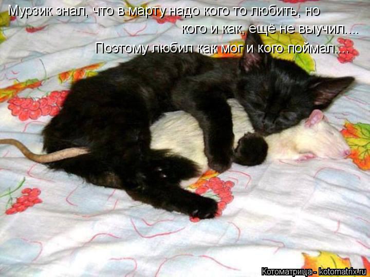 Мурзик знал, что в марту надо кого то любить, но кого и как, ещё не выучил.... Поэтому любил как мог ... Котоматрица: Мурзик знал, что в марту надо кого то любить, но кого и как, ещё не выучил.... Поэтому любил как мог и кого поймал....