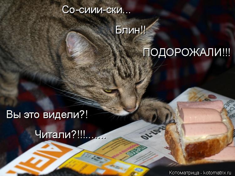 ПОДОРОЖАЛИ!!! Со-сиии-ски... Блин!! Читали?!!!....... Вы это видели?!... Котоматрица: ПОДОРОЖАЛИ!!! Со-сиии-ски... Блин!! Читали?!!!....... Вы это видели?!
