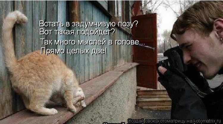 Встать в задумчивую позу? Вот такая подойдет? Так много мыслей в голове... Прямо целых две!... Котоматрица: Встать в задумчивую позу? Вот такая подойдет? Так много мыслей в голове... Прямо целых две!
