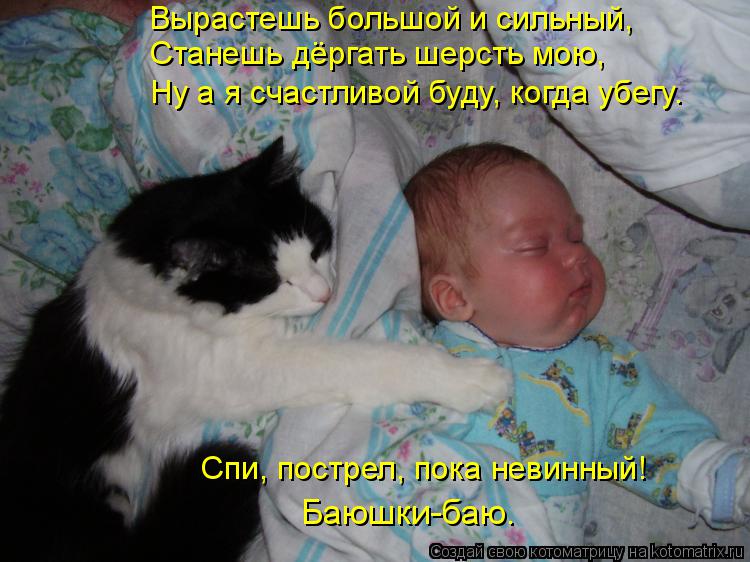 Котоматрица: Вырастешь большой и сильный, Станешь дёргать шерсть мою, Ну а я счастливой буду, когда убегу. Спи, пострел, пока невинный!  Баюшки-баю.
