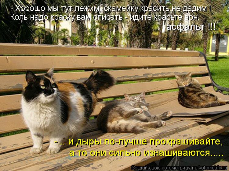 - Хорошо мы тут лежим, скамейку красить не дадим ! Коль надо краску вам списать - идите красьте вон..... Котоматрица: - Хорошо мы тут лежим, скамейку красить не дадим ! Коль надо краску вам списать - идите красьте вон... асфальт !!! - .. и дыры по-лучше прокрашивай