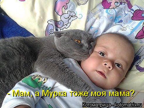 - Мам, а Мурка тоже моя мама?... Котоматрица: - Мам, а Мурка тоже моя мама?