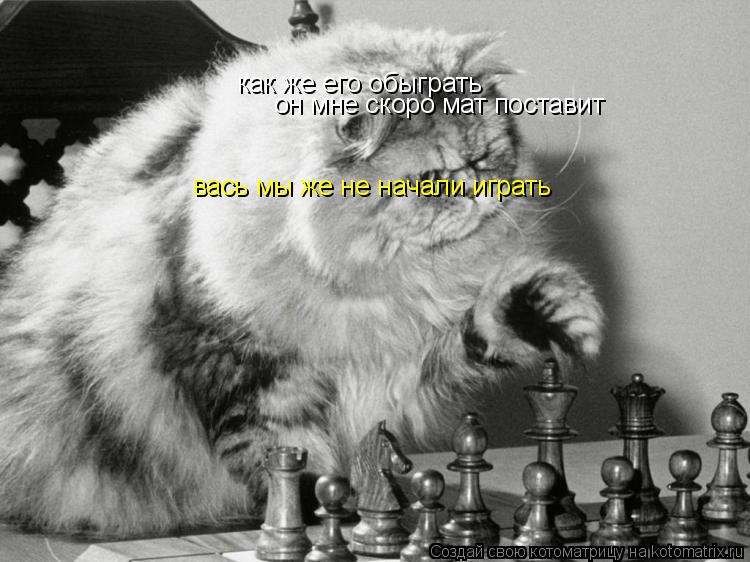 как же его обыграть он мне скоро мат поставит вась мы же не начали играть... Котоматрица: как же его обыграть он мне скоро мат поставит вась мы же не начали играть