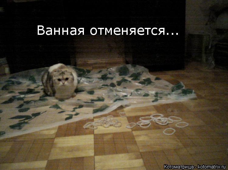 Ванная отменяется...... Котоматрица: Ванная отменяется...
