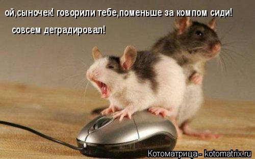 ой,сыночек! говорили тебе,поменьше за компом сиди! совсем деградировал!... Котоматрица: ой,сыночек! говорили тебе,поменьше за компом сиди! совсем деградировал!