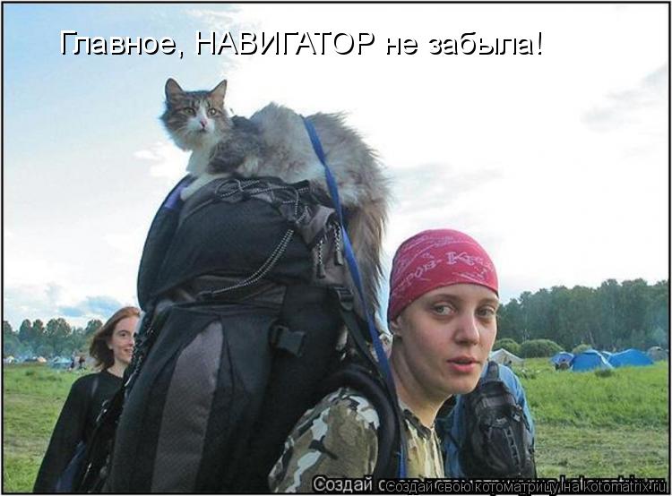 Главное, НАВИГАТОР не забыла!... Котоматрица: Главное, НАВИГАТОР не забыла!