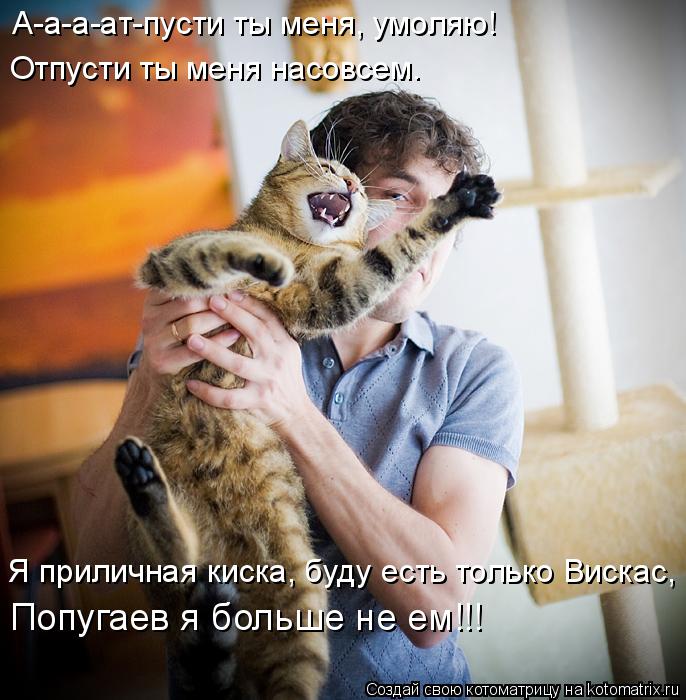 Я приличная киска, буду есть только Вискас, Попугаев я больше не ем!!! А-а-а-ат-пусти ты меня, умоляю... Котоматрица: Я приличная киска, буду есть только Вискас, Попугаев я больше не ем!!! А-а-а-ат-пусти ты меня, умоляю! Отпусти ты меня насовсем.